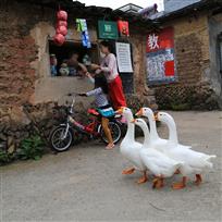乡村小店