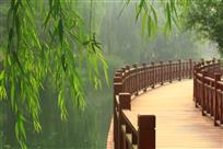 《小桥流水》