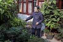 一个96岁革命烈士遗孀孙术老师的晚年生活
