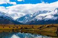 雪山丽影