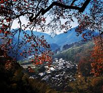 秋染山居