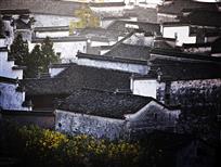 徽居秋晨