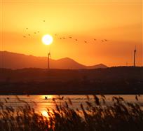天鹅湖夕照