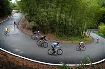 山路弯弯
