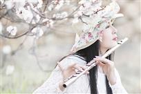 春曲