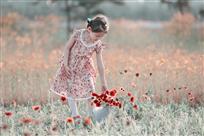 阳光下的花朵