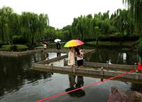 《老爸，你瞧》