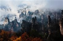 雾涌天子山