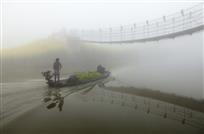 十里花香迟迟归