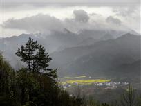 雨润青山