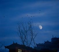 无眠