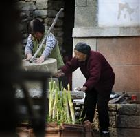 婆媳情