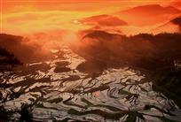 “火烧”茗岙