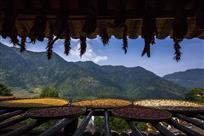 靓丽的风景