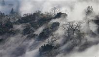 林海听涛