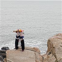 海的女儿