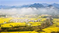 云雾山村春色