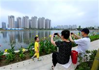 拍个照