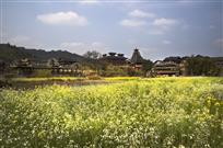 百花映侗寨