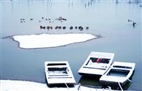 湖上春雪