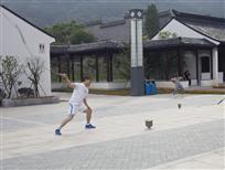打陀螺