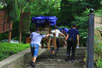 《媳妇坐轿我陪伴》