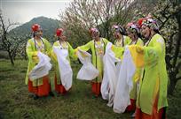 《梨园风情》