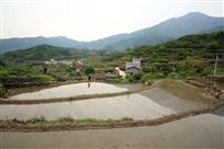 田园风光