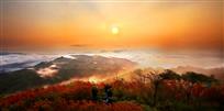 江山如画