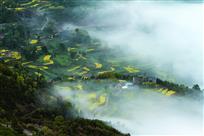 春绿江南小山村