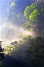 春光染层林