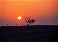 恋恋夕阳