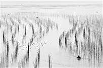 水墨沙江