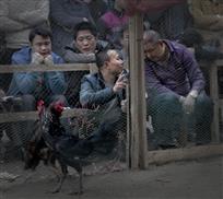 人间百态