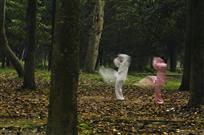 双双