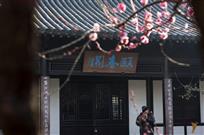 春色满园