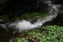 泉水流淌