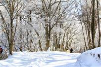 雪后黄山