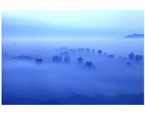 瑞城晨姿
