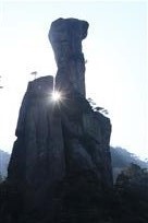 阳光与生命