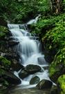 山间小溪