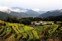 春浓江岭