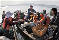 “水上乐园”