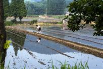 田间地头