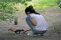 喂食
