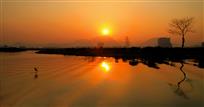 湿地夕阳