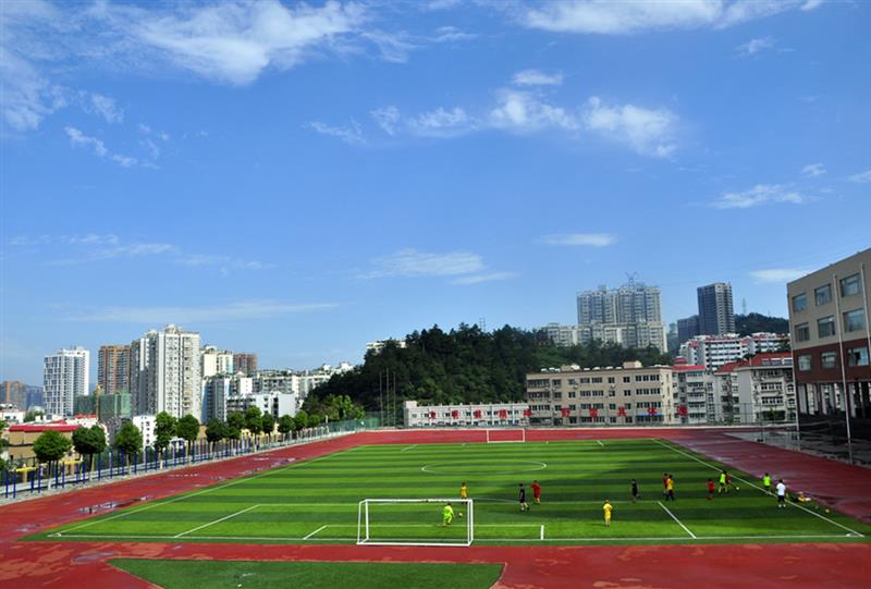 拍摄地点: 十堰市球场 拍摄时间: 2014-07-14 作品
