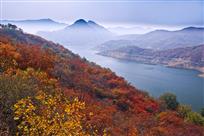 漫山红遍