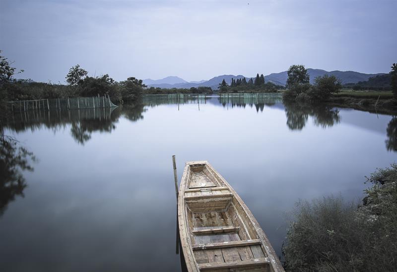 拍摄地点: 浙江上虞白马湖  拍摄时间: 2013-09-28  作品