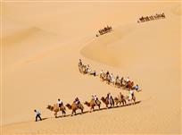 大漠驼队